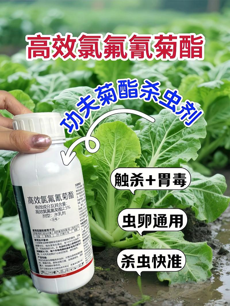 崇左代生中心:农药对供卵代生妈妈的危害